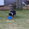 Janet Eisner - @janet.eisner - TikTok