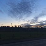 Janek Holmes - @janekholmes - Instagram