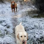 Jan Elbert - @jan.elbert.54 - Instagram