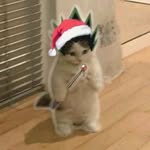 Jan Elbert - @janelberta.pimentel - Instagram