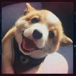 Jan Elbert Dapitan - @janelbertdapitan - Instagram