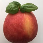 Jan elbertse - @elbertsejan - Instagram