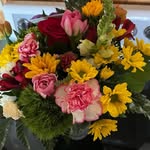 Jan Elder - @jancis_elder - Instagram