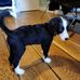 Jan Eldridge - Facebook