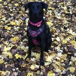 Jane Eldridge - @jane.eldridge.777 - Instagram