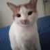 Jan Elledge - Facebook
