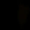 Janet Elledge - @janetelledge3411 - TikTok