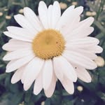 Jan Ellsworth - @jwe2153 - Instagram