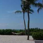 Jan Elmore - @sanibelshellgal - Instagram