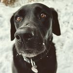 Jan Endres - @janendres - Instagram