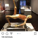 Jan Engelen - @jan_engelen - Instagram