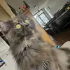 Janna van Engelenburg - @jannavanengelenbu - TikTok