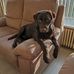 Janny Engelen - Facebook