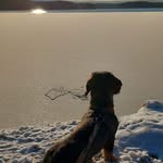 Jan Engström - @jan.engstrom.9277 - Instagram