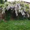 janeensley179 - @janeensley179 - TikTok