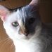 Janie Enyart - Facebook