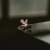 Jan Erickson - @janerickson3763 - TikTok