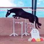 Jan Ernst - @gut_altenrade - Instagram