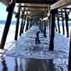Jane Esposito - @janeesposito4 - TikTok