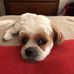 Jan Hoepner Estabrook - Facebook