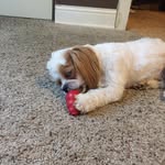 Jan Hoepner Estabrook - @hoepnerestabrook - Instagram