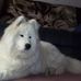 Janet Estabrook - Facebook