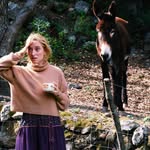 Jane Stephens Rosenthal Cooke - @janestephensrose - Instagram