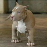 janesterhuizen - @janesterhuizen3135 - Instagram