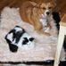 Jan Eubanks - Facebook