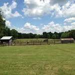 Janet Shryock Heustis - @janetheustis - Instagram