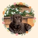 Jan Everett - @everettjan54 - Instagram