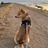 Jane Everett - @jane.everett6 - TikTok