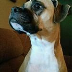 Jan Ewing - @nevjan1958 - Instagram
