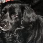 Jan Fagan Woodfill - @janetwoodfill - Instagram
