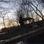 Janfalkenstein - @jan_falkenstein - Instagram