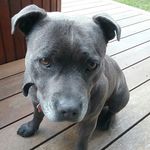 Jan Farrington - @jazzyone59 - Instagram
