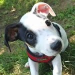 Jan Faust - @janfaust1 - Instagram