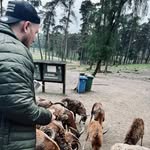 Jan Feldhege - @janfeldhege - Instagram