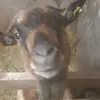 jansteinfelder6 - @jansteinfelder6 - TikTok