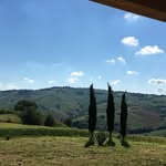 Jan Felstead - @jan.felstead - Instagram
