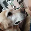 Jan Felti - @jan.felti - TikTok