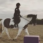 Jan Fenton - @jfenton17 - Instagram