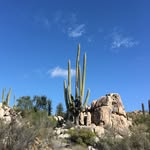 Jan Ferguson - @janvferguson - Instagram
