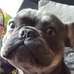 Jan Ferguson - @janferguson77 - Instagram