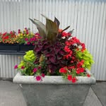 Jan Ferguson, Inc. - @janfergusoninc - Instagram