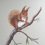 Jan Ferguson Wildlife Artist - @janfergusonwildart - Instagram