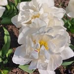 Jan Ferrari - @janferrari64 - Instagram