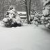 Jan Ferraro - Facebook