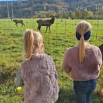 Jan Feyrer - @feyrerjan - Instagram