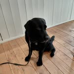 jane field - @jane3home - Instagram